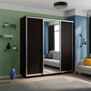 Шкаф-купе Экспресс 3-х дверный (дсп/зеркало/дсп)