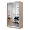 Шкаф-купе с зеркалом Хит 22/23/24-12/14/17-55